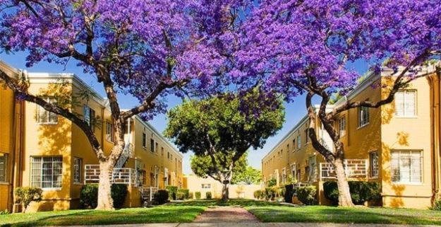 Spacious Charming Condo With Great Views Near The Grove Los Angeles Exterior photo